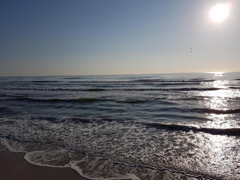 Apartment Summerland Mamaia Ngoại thất bức ảnh